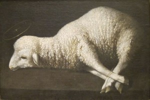 The Lamb of God Francisco de Zubaran
